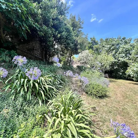 Cocon Luxe Vue Balcon Sauna Jacuzzi Piscine فينوف ليز أفيجْنْ