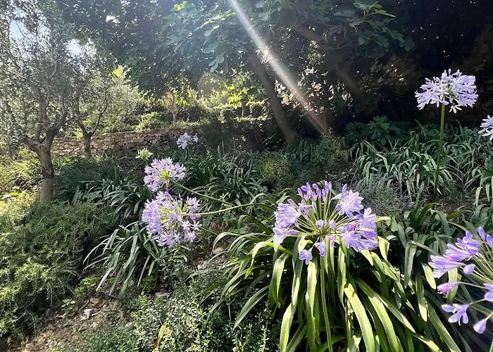 Cocon Luxe Vue Balcon Sauna Jacuzzi Piscine شقة